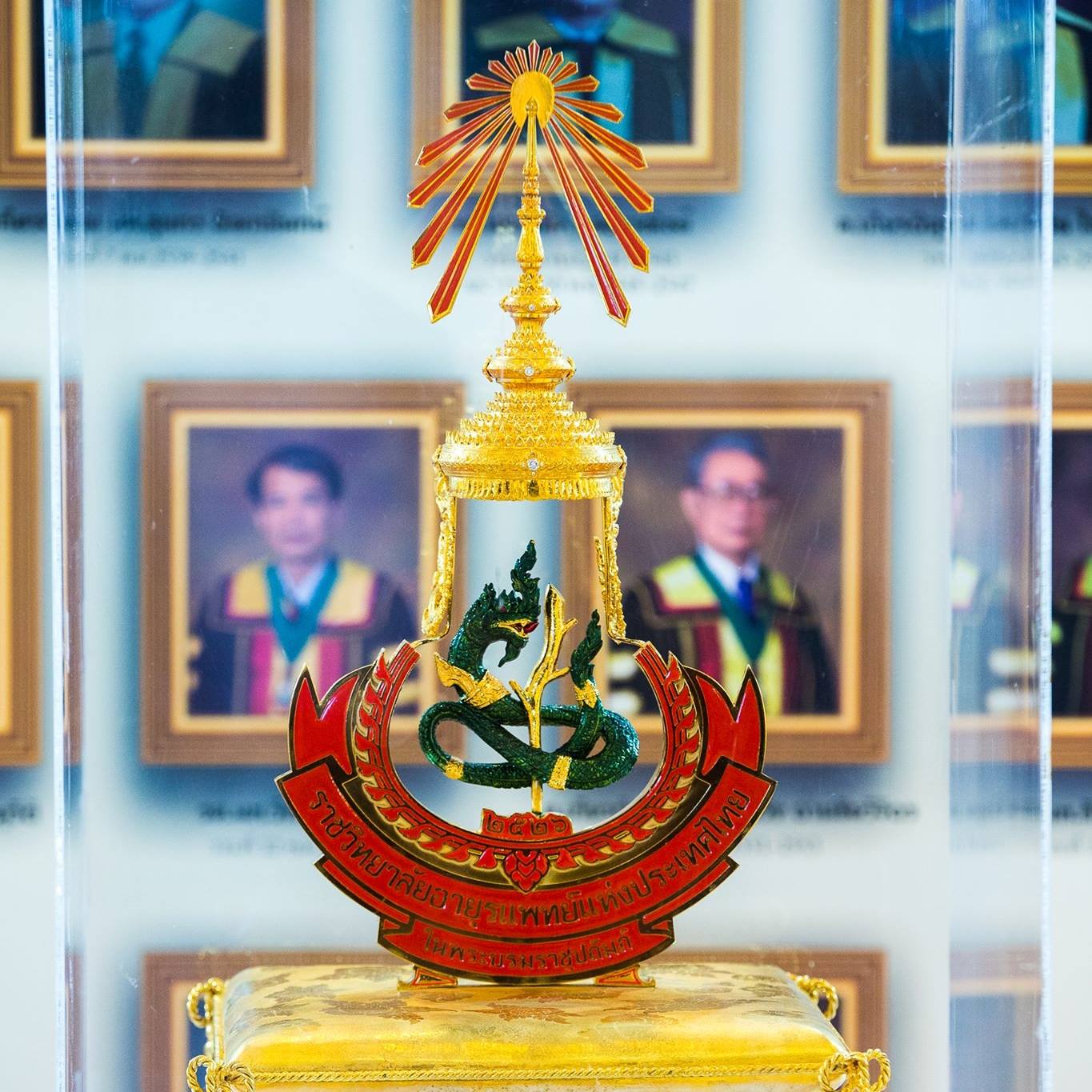 ราชวิทยาลัยอายุรแพทย์ฯประกาศฉบับที่ 2 เร่งหาวัคซีนคุณภาพให้บุคลากรทางการแพทย์เพื่อรับมือเชื้อโควิด-19 กลายพันธุ์&nbsp; วอนใช้ข้อมูลวิชาการจัดการ และกระจายวัคซีน รีบฉีดวัคซีน และเข้มป้องกันติดเชื้อประชาชน