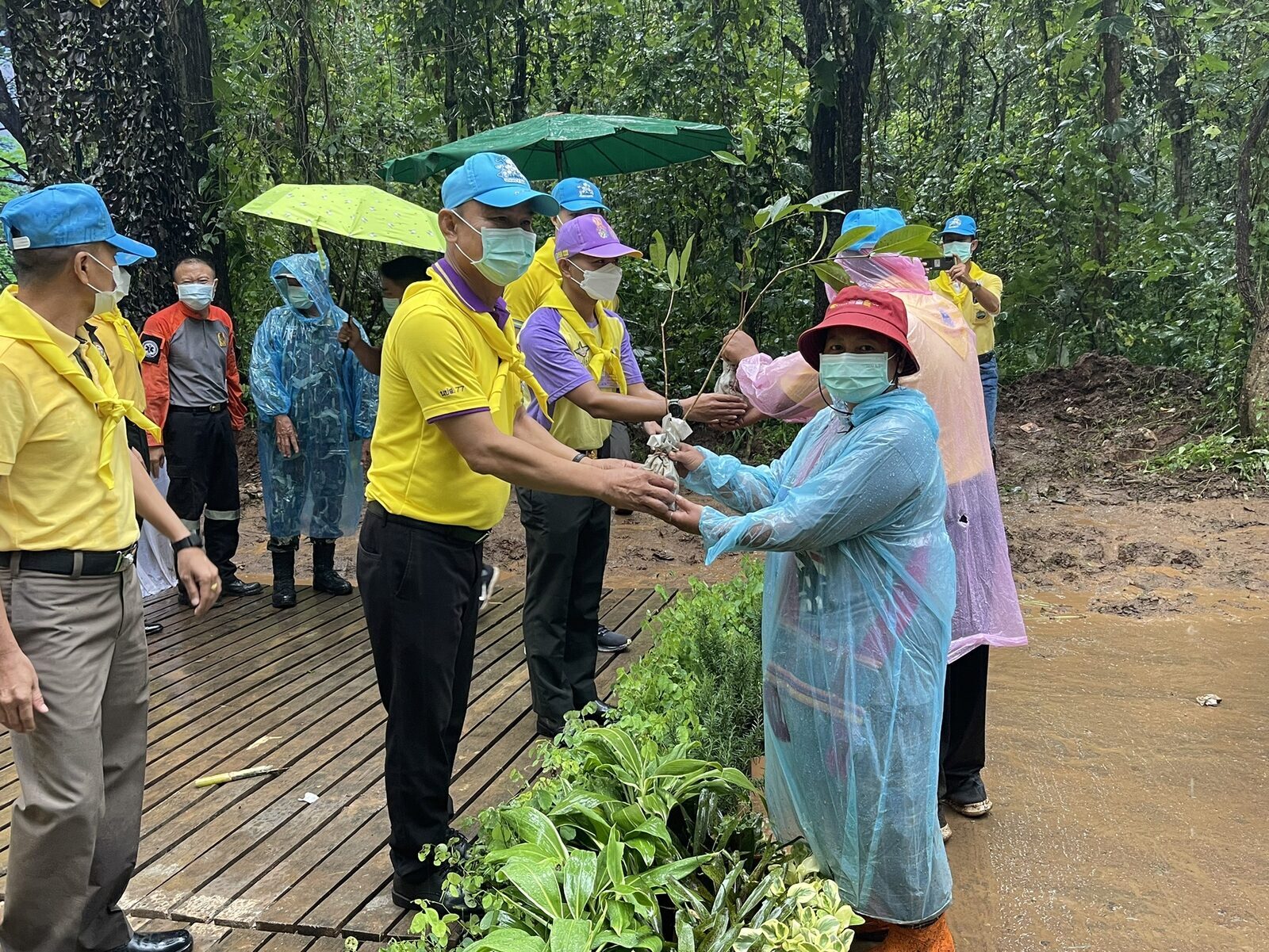ผาเมือง ร่วมประชาปลูกป่าเฉลิมพระเกียรติ ชายแดนเชียงดาว