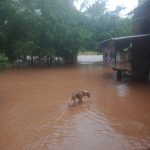กรมป้องกันและบรรเทาสาธารณภัย DDPM ระดมคนช่วยเหลือประชาชนในภาคอีสานและตะวันออกหลังเจอฝนถล่มน้ำท่วมในหลายพื้นที่