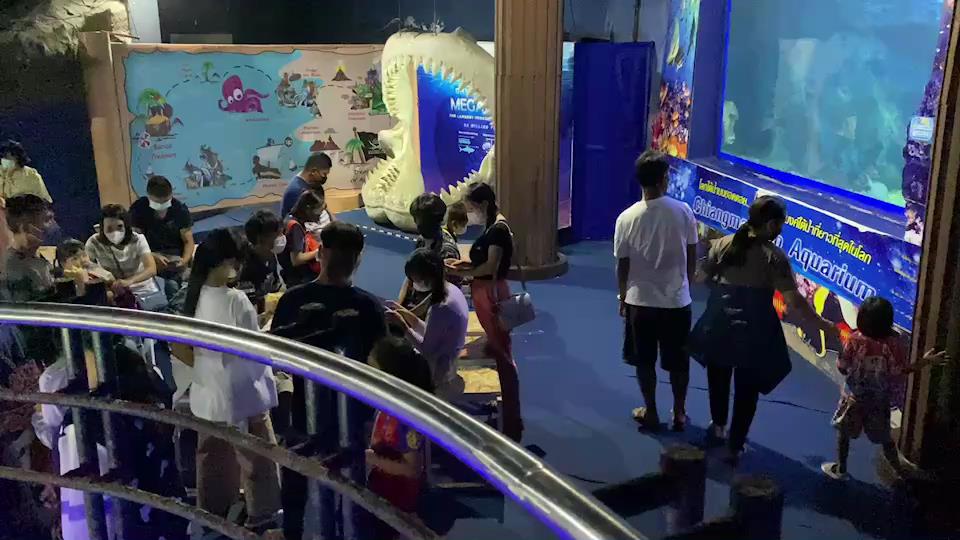 23 ตุลานี้ เที่ยวฟรีที่สวนสัตว์เชียงใหม่