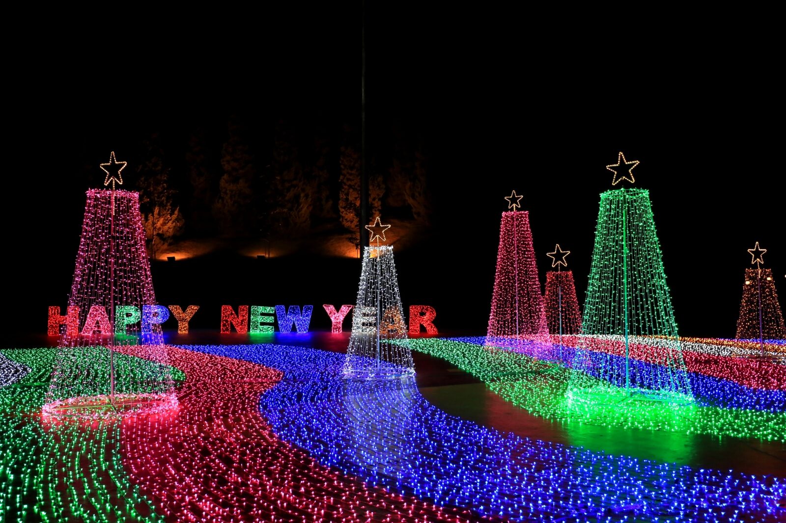 เริ่มแล้ว ”The Night Light of Flora Fest” อุทยานหลวงราชพฤกษ์