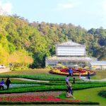 เที่ยวสวนพฤกษศาสตร์ฯ จัดงาน Botanic Festival 2023