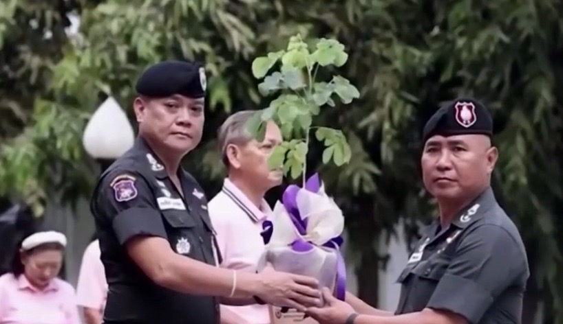 “ผบช ตชด.”มอบต้นกล้าจามจุรี ทรงปลูกเตรียมปลูกพร้อมกันทั่วประเทศ 444 ต้น เฉลิมพระเกียรติฯโอกาสวันคล้ายวันพระราชสมภพ สมเด็จพระเทพฯ “ผบช ตชด.”มอบต้นกล้าจามจุรี ทรงปลูกเตรียมปลูกพร้อมกันทั่วประเทศ 444 ต้น เฉลิมพระเกียรติฯโอกาสวันคล้ายวันพระราชสมภพ สมเด็จพระเทพฯ