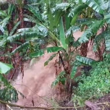 ฝนตกหนักน้ำป่าดอยสุเทพทะลักท่วมซ้ำ ฝั่งตะวันตกของเมืองเชียงใหม่ ฝนตกหนักน้ำป่าดอยสุเทพทะลักท่วมซ้ำ ฝั่งตะวันตกของเมืองเชียงใหม่